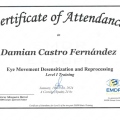 Acercar imagen: certificate 1