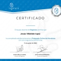 Acercar imagen: certificate 9