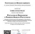 Acercar imagen: certificate 9