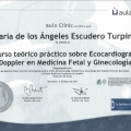 Acercar imagen: certificate 3