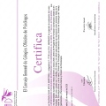 Acercar imagen: certificate 25