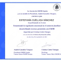Acercar imagen: certificate 11