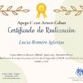 Acercar imagen: certificate 7
