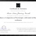Acercar imagen: certificate 13