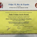 Acercar imagen: certificate 10