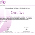 Acercar imagen: certificate 116