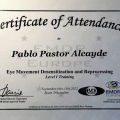 Acercar imagen: certificate 4