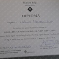 Acercar imagen: certificate 14