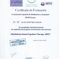 Acercar imagen: certificate 6