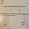 Acercar imagen: certificate 1