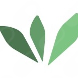 Verbum Psicología Clínica y Psicoterapia