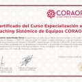 Acercar imagen: certificate 7