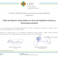 Acercar imagen: certificate 3