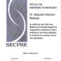 Acercar imagen: certificate 5
