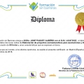 Acercar imagen: certificate 14