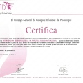 Acercar imagen: certificate 87