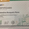 Acercar imagen: certificate 1