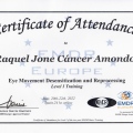Acercar imagen: certificate 13