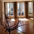 El Arbol BlancoSantiago de Compostela - 