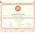 Acercar imagen: certificate 9