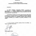 Acercar imagen: certificate 9