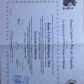 Acercar imagen: certificate 3