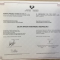 Acercar imagen: certificate 10