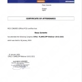 Acercar imagen: certificate 23