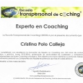 Acercar imagen: certificate 3
