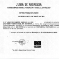 Acercar imagen: certificate 5