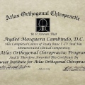 Acercar imagen: certificate 2