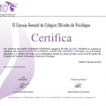 Acercar imagen: certificate 22