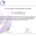 Acercar imagen: certificate 21