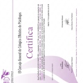 Acercar imagen: certificate 14