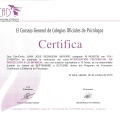 Acercar imagen: certificate 242