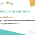 Acercar imagen: certificate 9