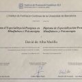 Acercar imagen: certificate 5