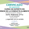Acercar imagen: certificate 4