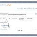 Acercar imagen: certificate 19