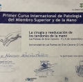 Acercar imagen: certificate 6