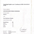 Acercar imagen: certificate 1