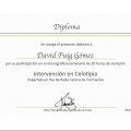 Acercar imagen: certificate 11