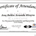 Acercar imagen: certificate 13