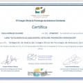 Acercar imagen: certificate 1
