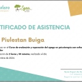 Acercar imagen: certificate 2