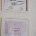 Acercar imagen: certificate 4