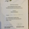 Acercar imagen: certificate 5