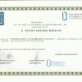Acercar imagen: certificate 24