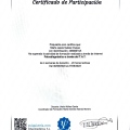 Acercar imagen: certificate 3