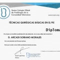 Acercar imagen: certificate 3